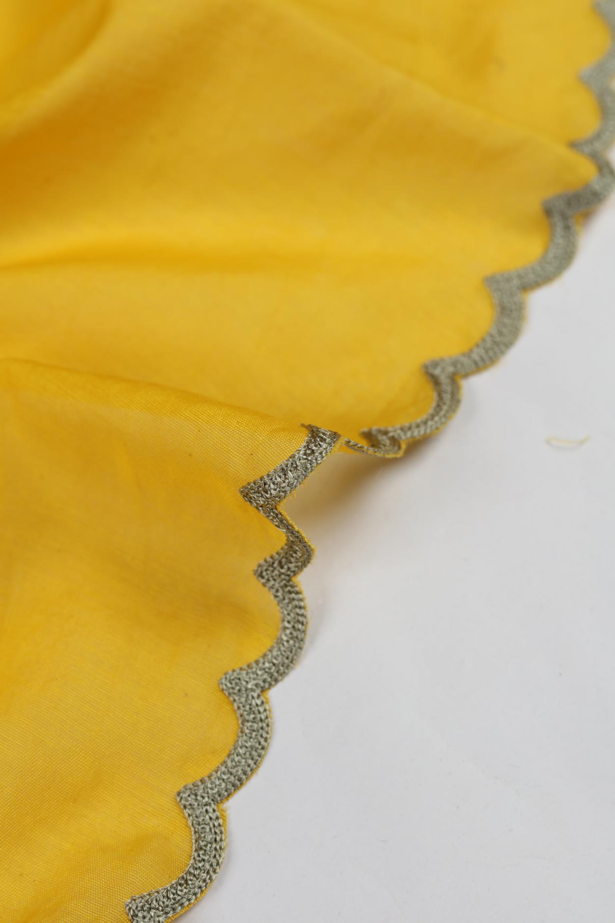 Embroidered Mul Chanderi Set-3